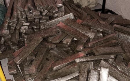 Polícia Civil apreende 1,6 tonelada de maconha em assentamento de Campo Gra…