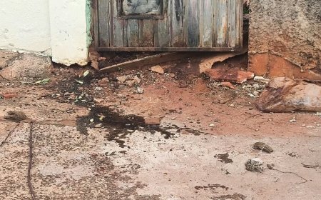 Mau cheiro denuncia corpo em terreno em Campo Grande