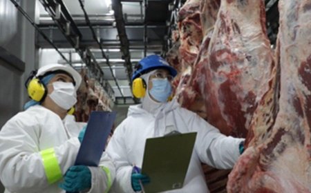 China chega para conferir de perto os frigoríficos brasileiros
