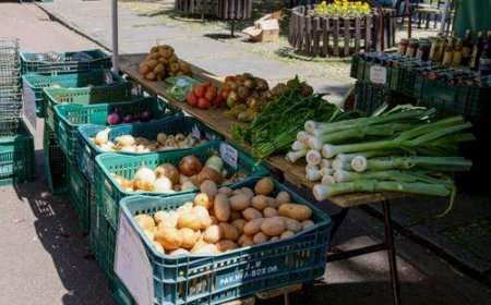 Campo Grande aprova propostas de agricultores familiares