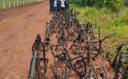 Guarda Civil Metropolitana descobre desmanche clandestino e apreende mais de 100 quadros de motos em Campo Grande