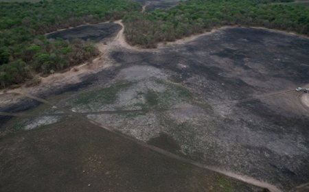 Incêndios destroem mais de 1 mil hectares e MPMS investiga em Aquidauana