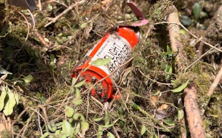 Caixa-preta de helicóptero que levava cantor Rick é recuperada