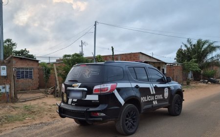 Tragédia na fronteira: menina de 10 anos morre após acidente em árvore em P…