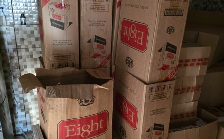 GCM estoura entreposto do crime e apreende toneladas de cigarros, agrotóxic…