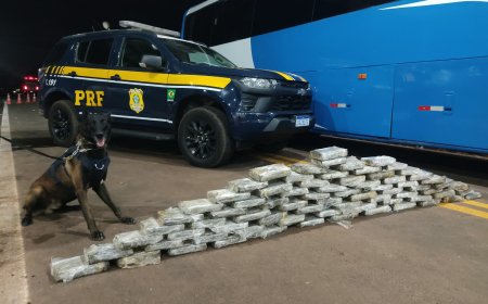 PRF apreende mais de 300 kg de drogas e prende 37 pessoas durante operação…