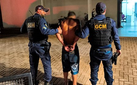 Mulher é agredida por companheiro e suspeito de buscar arma de fogo é contido pela GCM em Campo Grande