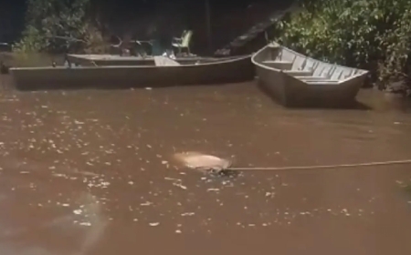 Homem conhecido como “Japão” é encontrado morto no Rio Miranda