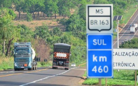 BR-163 ganha mais dez pontos de ônibus e passagem para a fauna