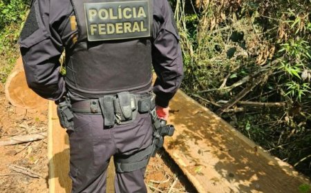 Polícia Federal, Ibama e Funai combatem desmatamento e exploração ilegal de madeira em terra indígena no MS