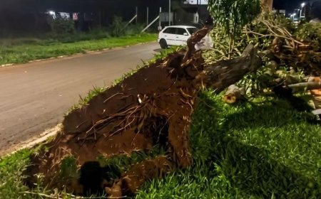 Vendaval devastador deixa Tacuru no escuro e causa destruição na região de…