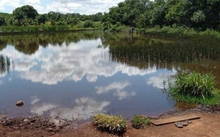 Buscas no Rio Santana: homem desaparece após cair na água durante pescaria em Paranaíba