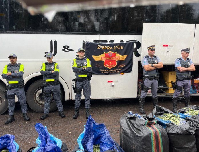 Polícia Rodoviária faz apreensão recorde de quase 750 kg de folha de coca na Raposo Tavares