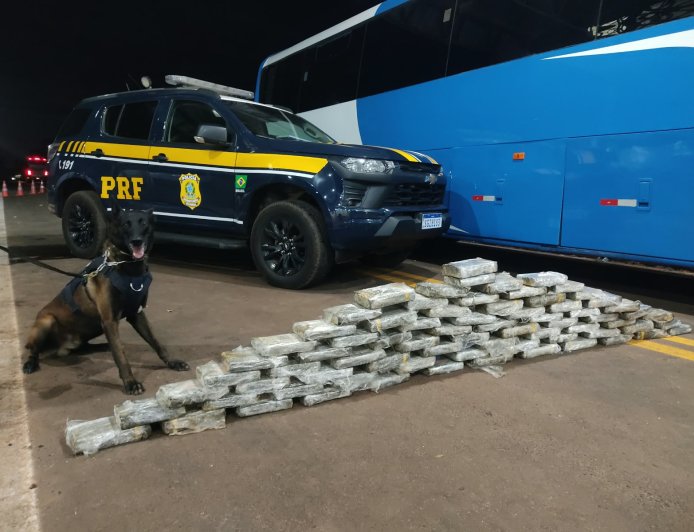 PRF apreende mais de 300 kg de drogas e prende 37 pessoas durante operação em MS