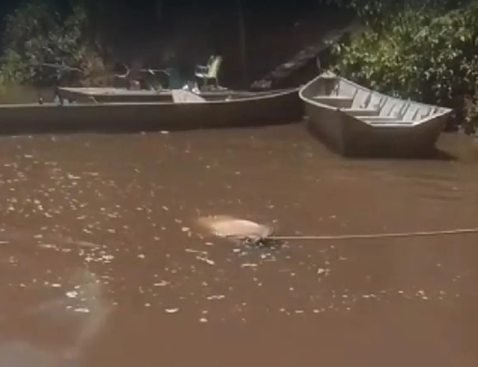 Homem conhecido como “Japão” é encontrado morto no Rio Miranda