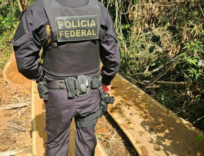 Polícia Federal, Ibama e Funai combatem desmatamento e exploração ilegal de madeira em terra indígena no MS