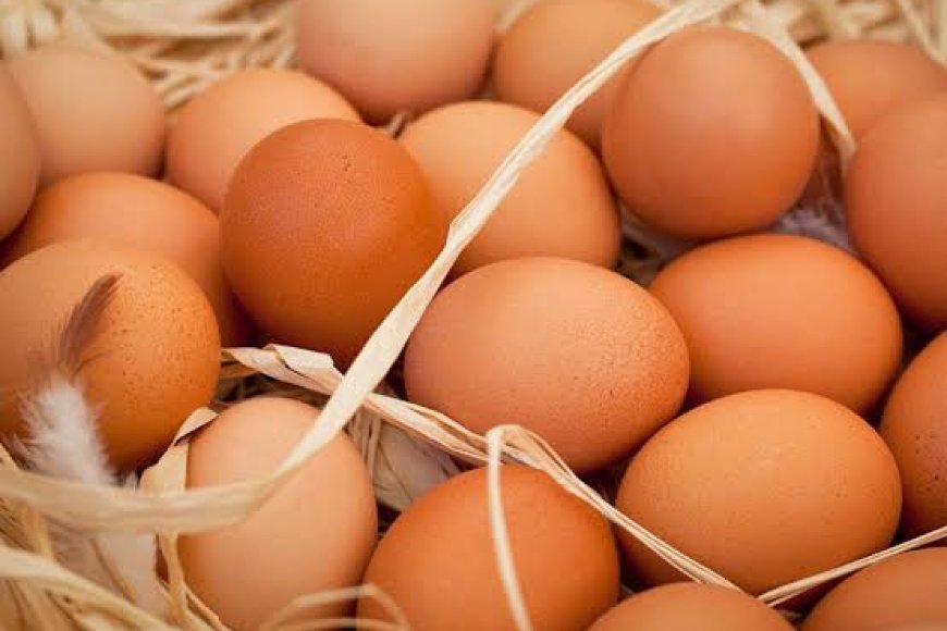 Avicultura brasileira diversifica produção e sistemas de criação