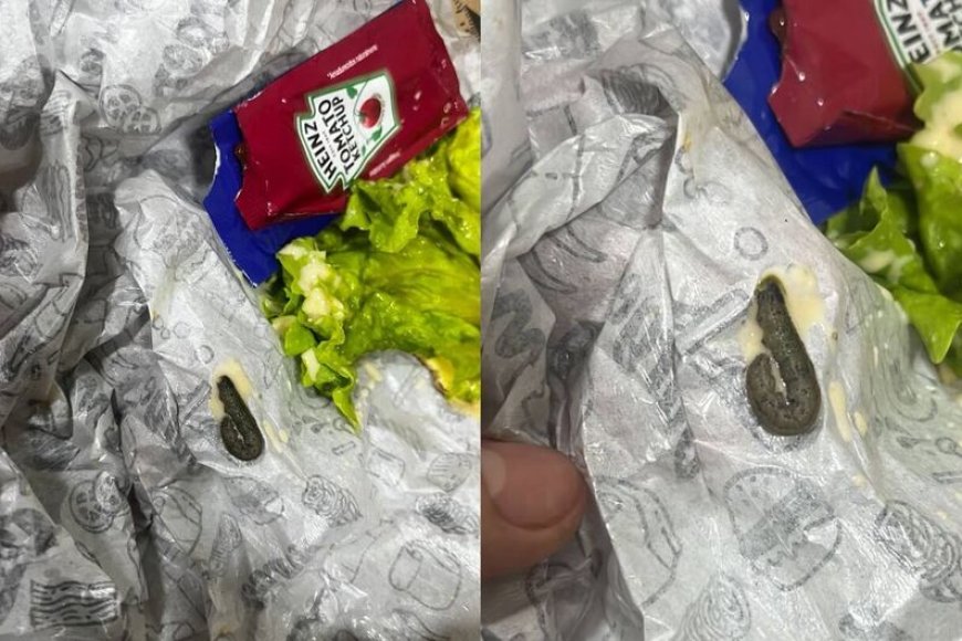 Consumidora encontra lagarta em lanche comprado no bairro Nova Lima, em Cam…