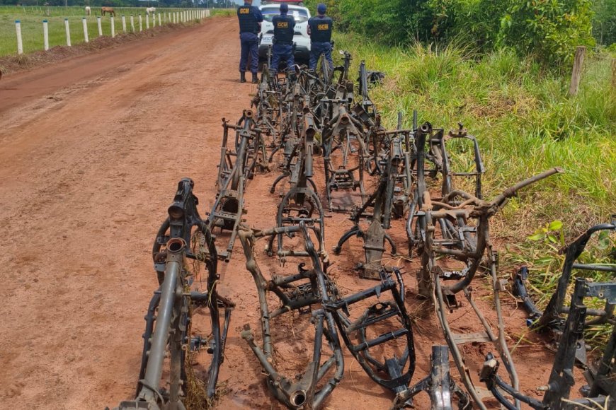 Guarda Civil Metropolitana descobre desmanche clandestino e apreende mais de 100 quadros de motos em Campo Grande