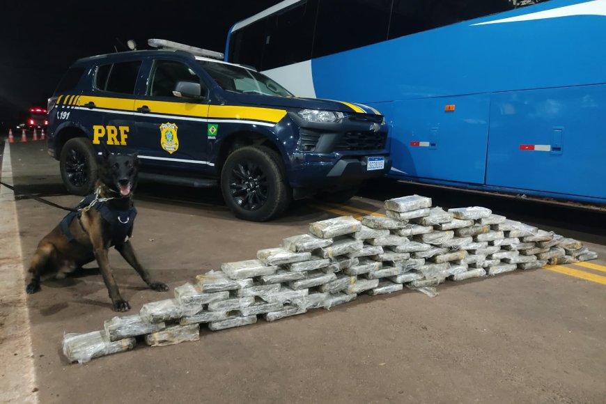 PRF apreende mais de 300 kg de drogas e prende 37 pessoas durante operação em MS