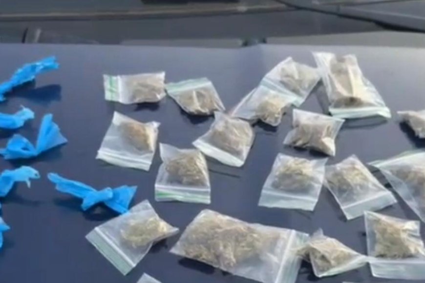 Jovem de 20 anos é presa por tráfico de drogas no bairro Vila Danúbio Azul