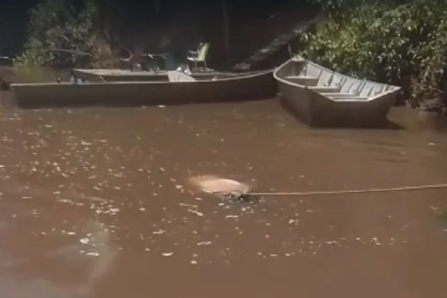 Homem conhecido como “Japão” é encontrado morto no Rio Miranda