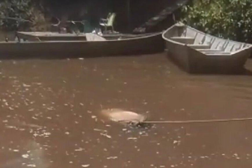 Corpo boiando transforma Rio Miranda em cenário macabro