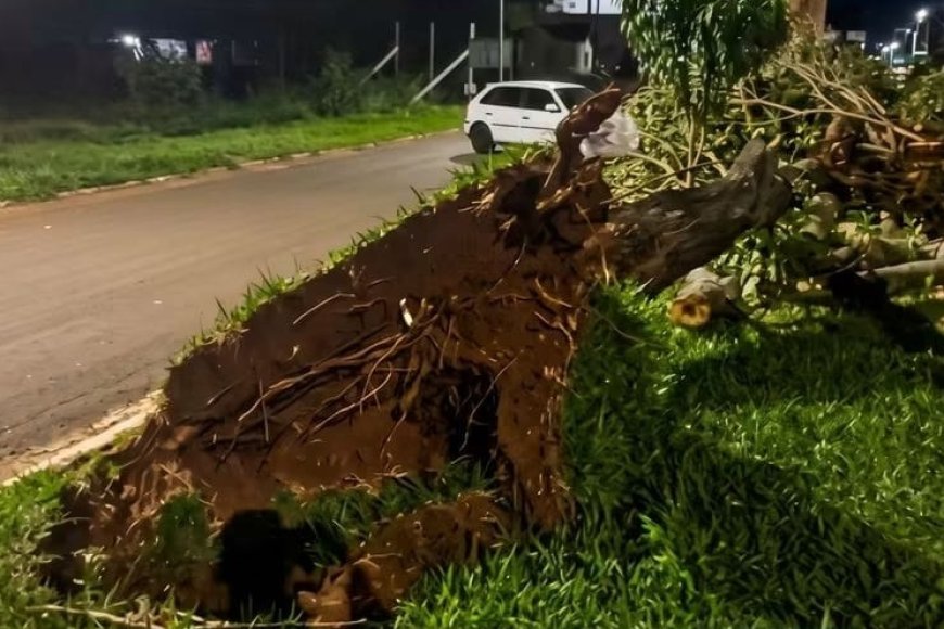 Vendaval devastador deixa Tacuru no escuro e causa destruição na região de…
