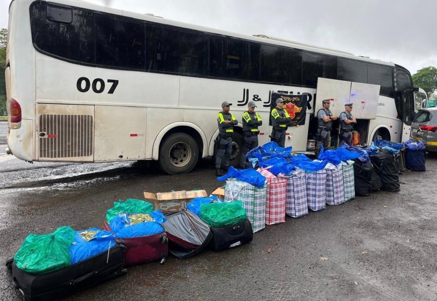 Polícia Rodoviária faz apreensão recorde de quase 750 kg de folha de coca na Raposo Tavares