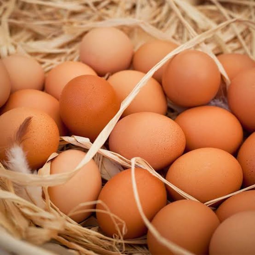 Avicultura brasileira diversifica produção e sistemas de criação