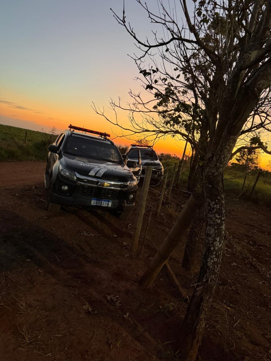 Polícia Civil apreende 1,6 tonelada de maconha em assentamento de Campo Grande