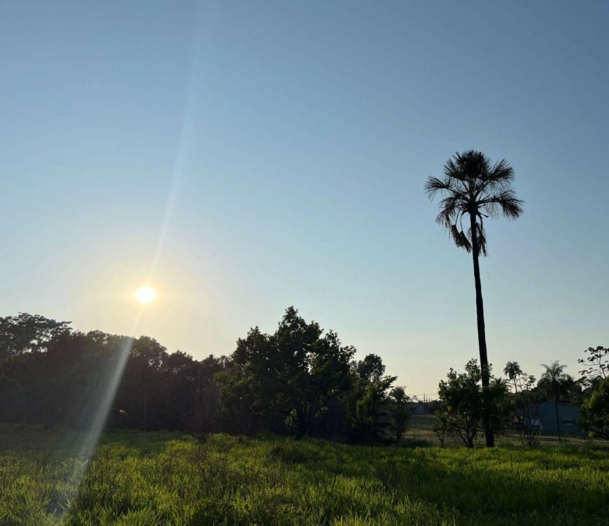 Temperatura dispara e MS enfrenta segunda-feira de muito calor