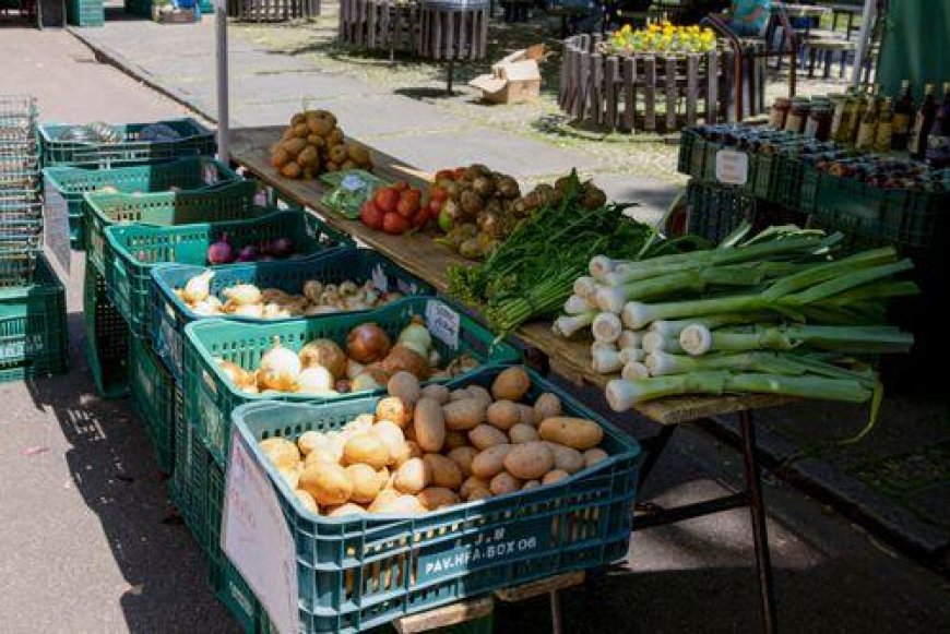 Campo Grande aprova propostas de agricultores familiares