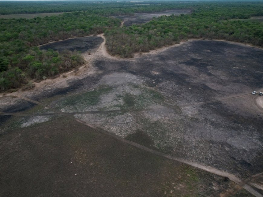 Incêndios destroem mais de 1 mil hectares e MPMS investiga em Aquidauana
