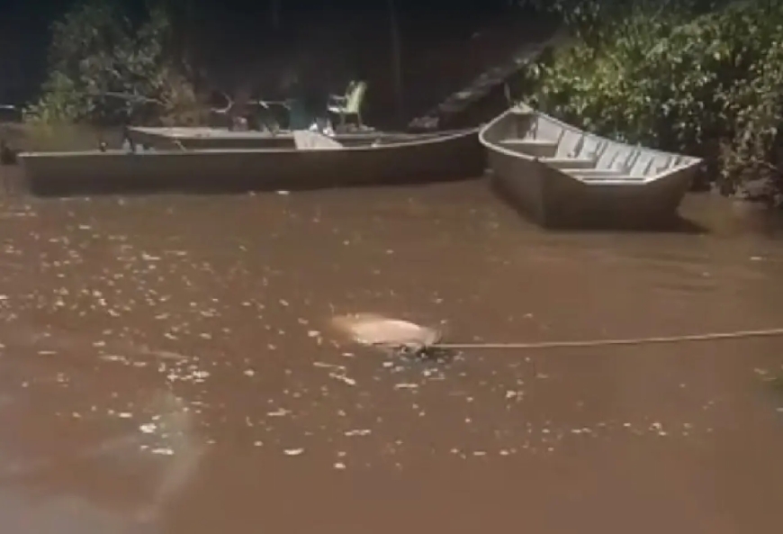 Homem conhecido como “Japão” é encontrado morto no Rio Miranda