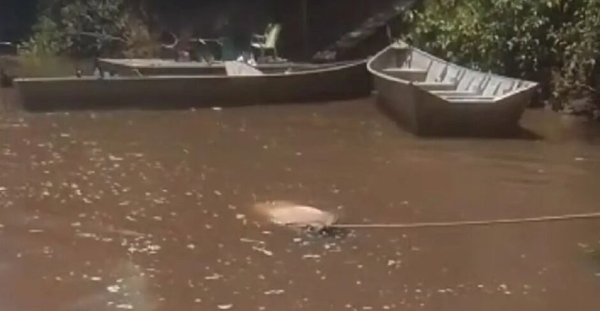 Corpo boiando transforma Rio Miranda em cenário macabro
