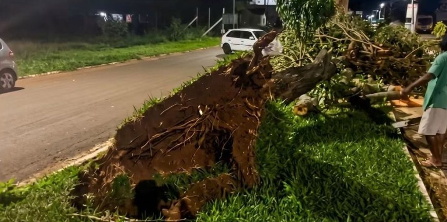Vendaval devastador deixa Tacuru no escuro e causa destruição na região de fronteira