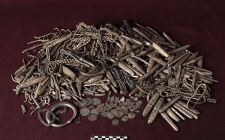 Morador foi arrumar o jardim de casa e achou prata da Era Viking
