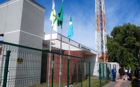 Nova Andradina terá 32 rotas de transporte gratuito para atender eleitores da zona rural