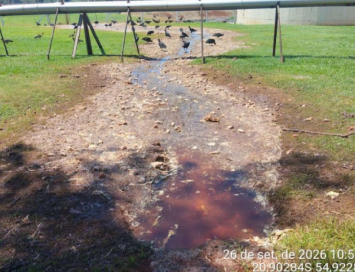 Frigorífico é investigado após vísceras de aves invadirem fazenda
