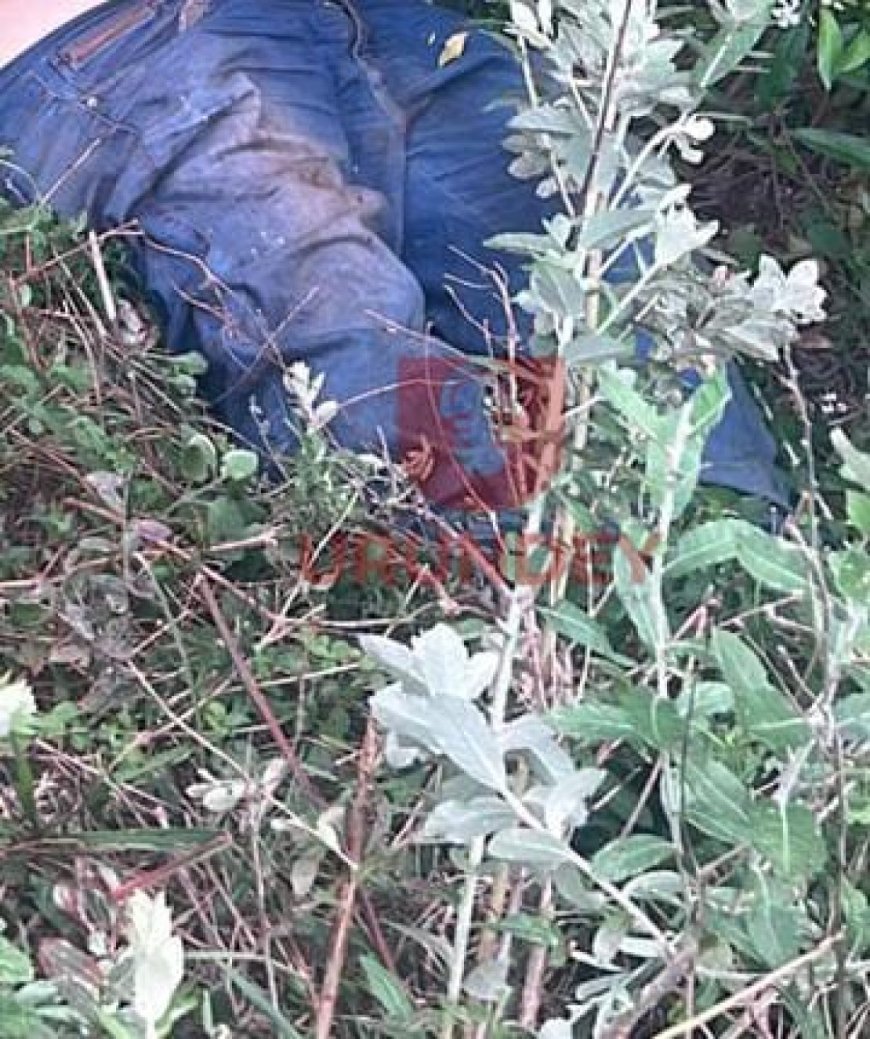 Homem é encontrado morto com tiro na cabeça na fronteira