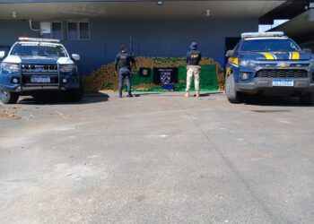 11ª BPM apreende mais de 2 toneladas de drogas e recupera veículo roubado