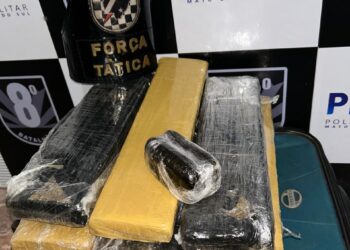 Drogas são apreendidas em ônibus em Nova Andradina