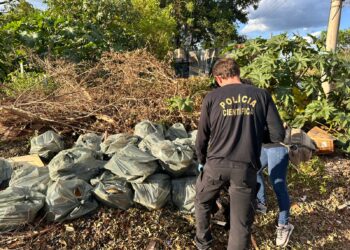 Polícia Civil prende casal por descartar caixas d’agua de amianto em terreno próximo a av. Duque de Caxias, em Campo Grande