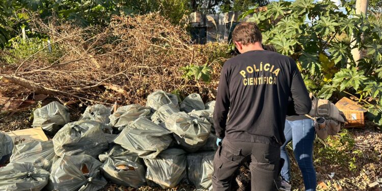 Polícia Civil prende casal por descartar caixas d’agua de amianto em terreno próximo a av. Duque de Caxias, em Campo Grande
