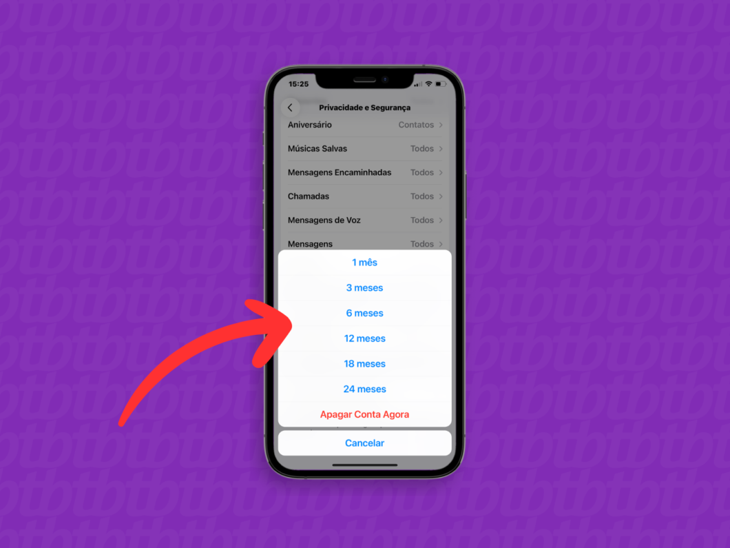 Escolhendo o tempo para autodestruição ou a exclusão imediata da conta do Telegram