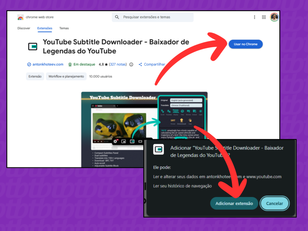Instalando a extensão "YouTube Subtitle Downloader" no Google Chrome