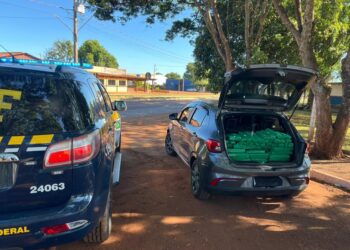 PRF apreende 355 Kg de maconha em Maracaju