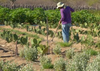 Acordo finaliza maior e mais antigo conflito fundiário do Sul do país