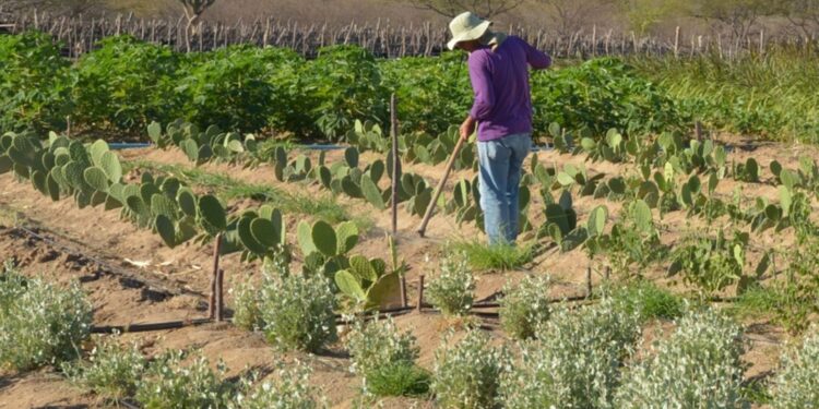 Acordo finaliza maior e mais antigo conflito fundiário do Sul do país